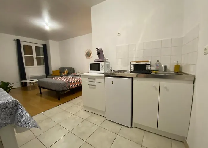 Apartment Chaleureux Centre